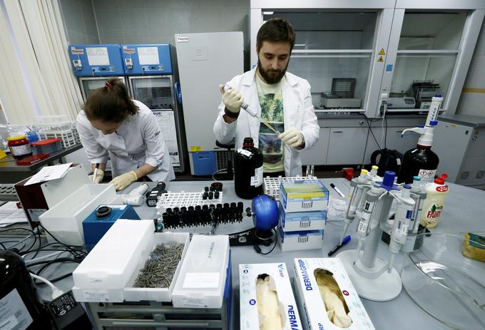 doping | Foto: Reuters