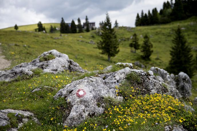 pohodništvo gore orientacija v naravi markacija | Foto Ana Kovač