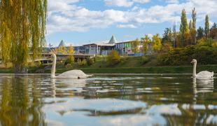 Europark Maribor praznuje legendarni jubilej