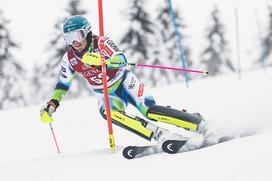 Zlata lisica, slalom