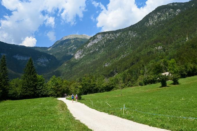 Še po dolini Voje navzdol. Nad njo se dviga Tosc. Tudi od tu se lahko povzpnemo na Tosc in do Vodnikovega doma, ki je za njim na Velem polju. | Foto: Matej Podgoršek