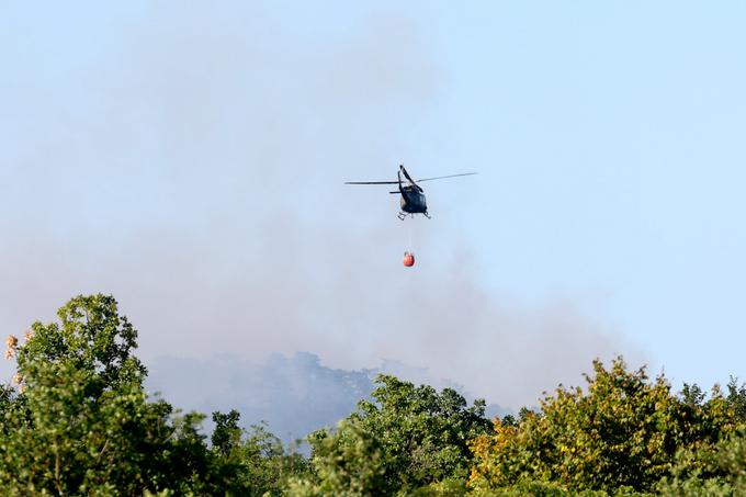 Požar na Krasu | Foto: Ana Kovač