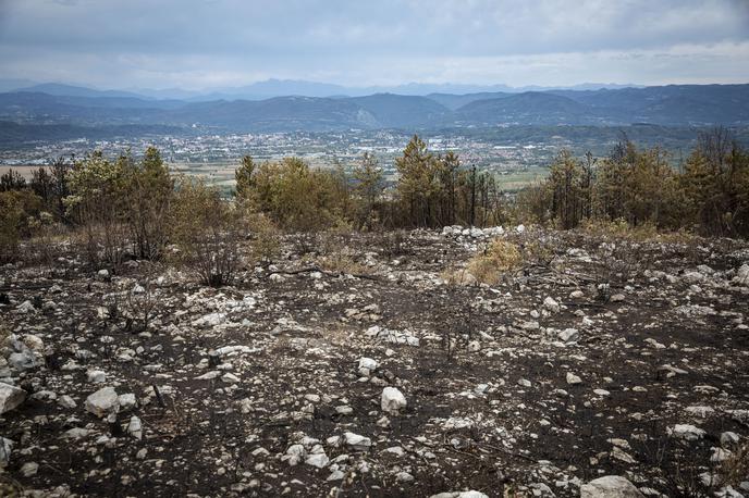 Pogorišče na Krasu. Požar. Kras. | Foto Bojan Puhek