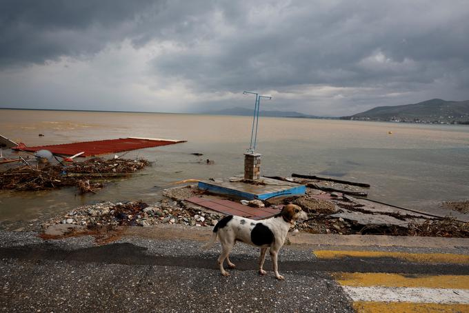 Grčija, poplave | Foto: Reuters