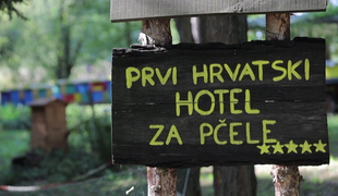 Hotel za čebele? #video