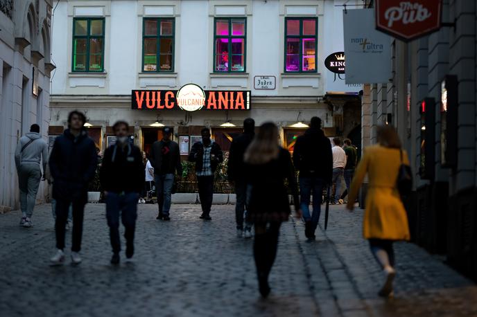 Avstrija covid-19 | Največ novih okužb so z 2461 primeri potrdili v Zgornji Avstriji, sledita Spodnja Avstrija (1841) in Dunaj (1298). | Foto Reuters