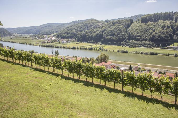 "Kupci so zelo navdušeni nad naravnimi lepotami Slovenije. Veliko tujcev, ki prej o Sloveniji niso veliko vedeli, je nad naravo nenavadno šokiranih oziroma navdušenih," pravi Justin Young. | Foto: Matej Leskovšek