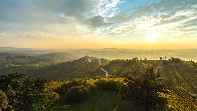 Razgledni stolp Gonjače, Goriška brda | Foto: arhiv ZTKMŠ Brda