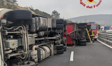 Po nesreči tovornjaka pri Trstu pobegnilo več kot 30 bikov #foto