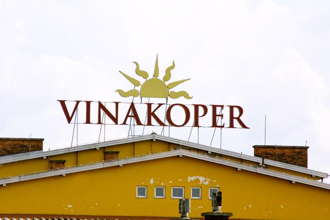 Vina Koper | Foto: Bojan Puhek