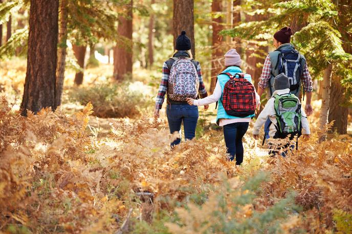 gozd, pohodništvo, jesen, planinarjenje, rekreacija, sprehod | Foto Getty Images