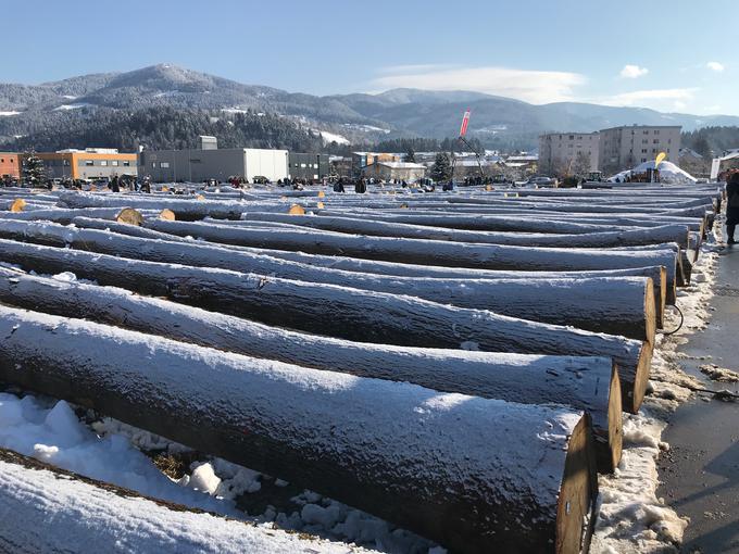 hlod | Foto: Uroš Maučec