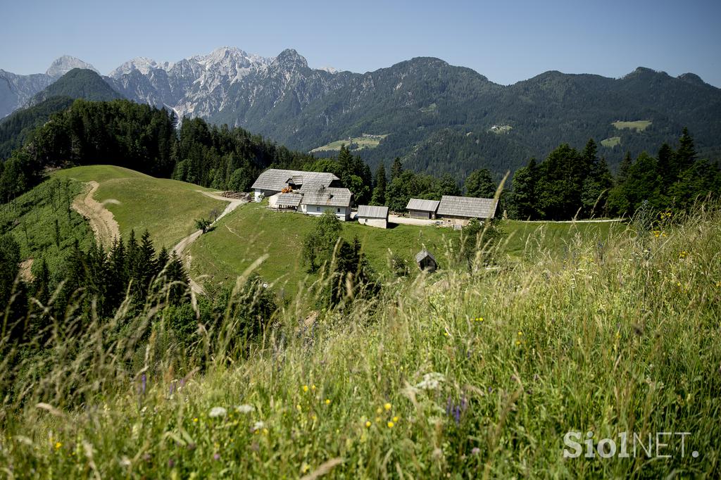 Izletniška kmetija Klemenšek Logarska dolina