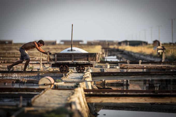 Plima, oseka in pridne roke – tako se žanje sol v Sečoveljskih solinah. | Foto: Bojan Puhek