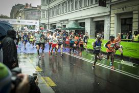 Volkswagen 23. Ljubljanski maraton