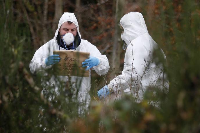 Policija, gozd | Ugotovili so, kdo je bil mrtev moški.  | Foto Reuters