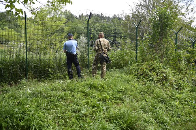 Šarec v Ilirski Bistrici | Foto: STA ,