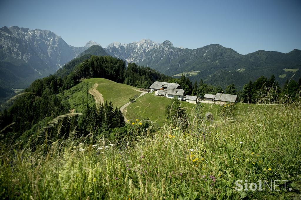 Izletniška kmetija Klemenšek Logarska dolina