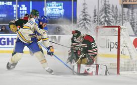 zimska klasika Minnesota Wild St. Louis Blues