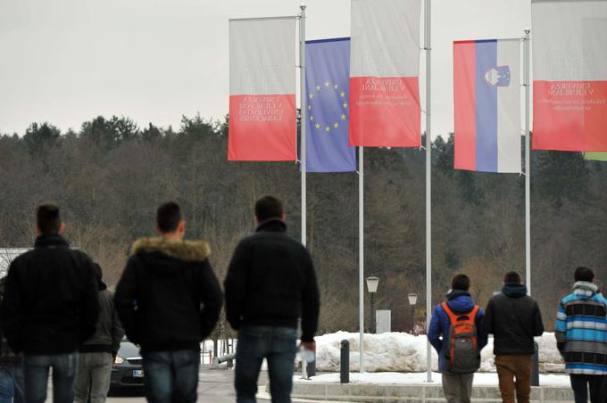 Dosežke nacionalnega preverjanja znanja se bo, če bo srednja šola imela omejitev vpisa, upoštevalo v določenem deležu.  | Foto: Matic Prevc/STA