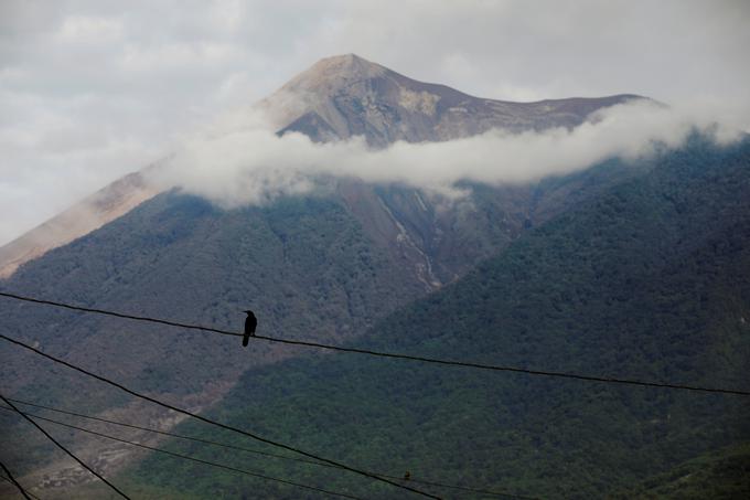 Fuego Gvatemala | Foto: Reuters