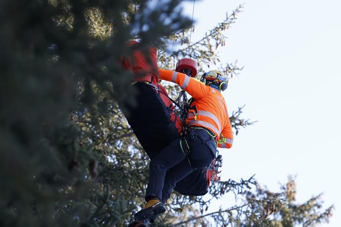 Cyprien Sarazzin, Bormio | Cypriena Sarrazina so s helikopterjem takoj prepeljali v bolnišnico. | Foto Guliverimage