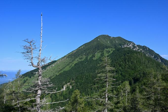 Pogled na Cjanovco in Srednji vrh z Javorovega vrha | Foto: Matej Podgoršek