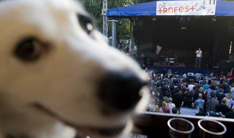 Trnfest kljub okrnjenemu programu odprl vrata