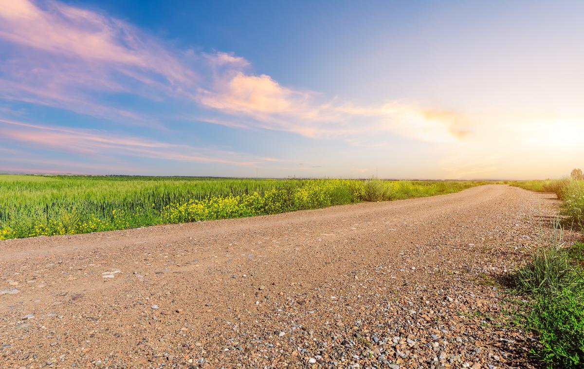 podeželjska cesta | Foto Shutterstock