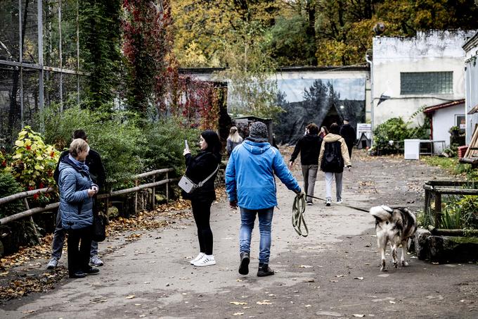 Prostovoljci lahko pridejo v center in v bližnjem parku sprehajajo pse.  | Foto: Ana Kovač