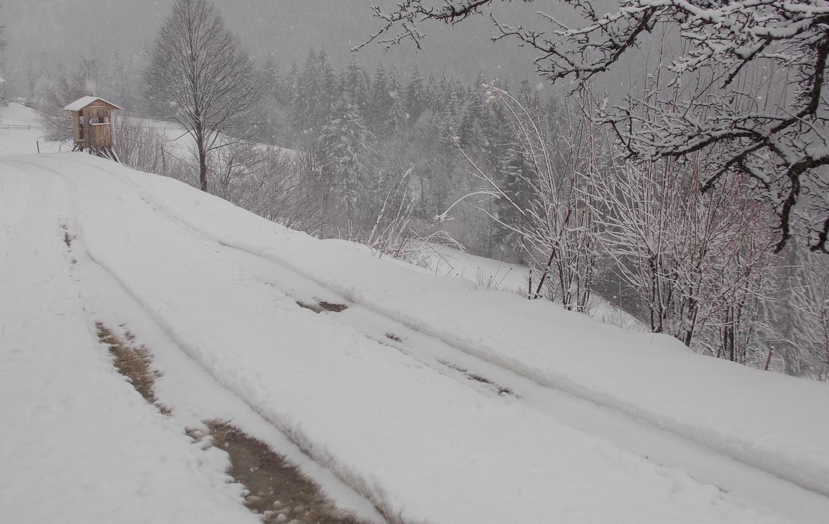 sneženje | Sneženje bo sorazmerno kratkotrajno, a marsikje nenavadno izrazito, napovedujejo na agenciji za okolje.  | Foto Bralec Maksimiljan