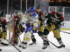 zimska klasika Minnesota WIld St. Louis Blues