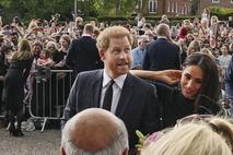 Harry in Meghan