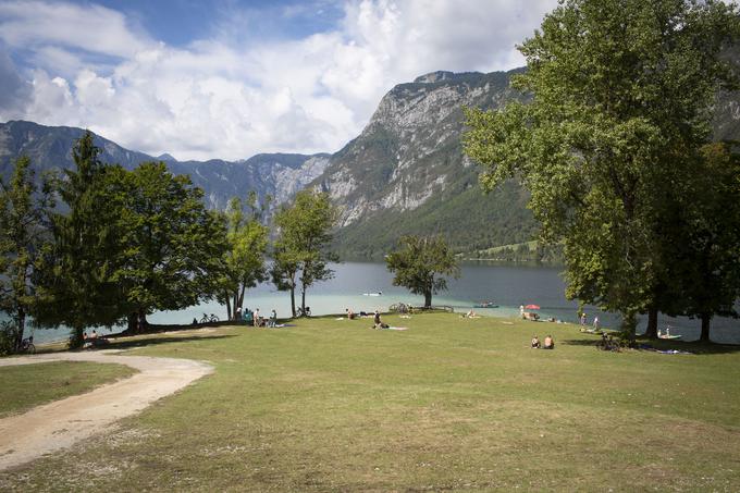 Peugeot Bohinj | Foto: Bojan Puhek