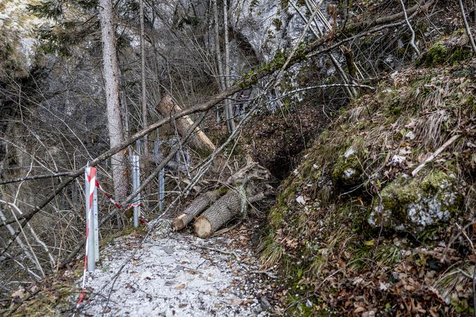 Posledice julijskega vetrolova.  | Foto: Ana Kovač