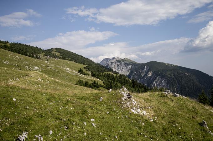 Belska planina v Karavankah je izhodišče za številne izlete. Je pa že sama planina dovolj slikovita, da lahko na njenih prostranih travnikih uživamo ves dan. | Foto: Ana Kovač