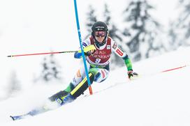 Zlata lisica, slalom