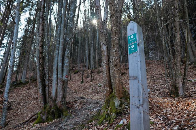 Razpotja so označena s takšnimi lesenimi smerokazi. | Foto: Matej Podgoršek