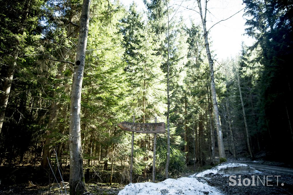 Turistična kmetija Kladje Andreja Henrik Podlesnik Ljubno