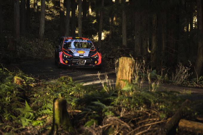 Izkušeni Belgijec Thierry Neuville tudi v letošnji sezoni ni postal svetovni prvak. | Foto: Guliverimage