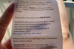 Ker pes v morju ni bil na povodcu, so jo oglobili z 200 evri