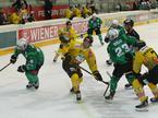 Vienna Capitals