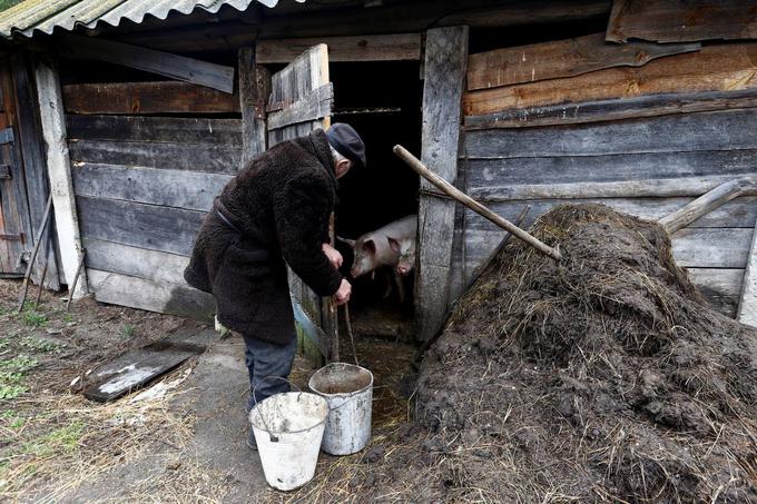 Zaradi radioaktivnega oblaka je bilo v državah nekdanje Sovjetske zveze prizadetih vsaj pet milijonov ljudi. Najbolj se je življenje na glavo obrnilo kmetom, ki jim je jedrska ujma vzela pridelek in zastrupila zemljo. | Foto: 