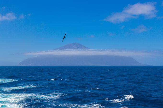 Ali se Andean Medjedovic še skriva na neznanem otoku, ni znano. Po letu 2023 se je za njim namreč izgubila vsaka sled.  | Foto: Shutterstock