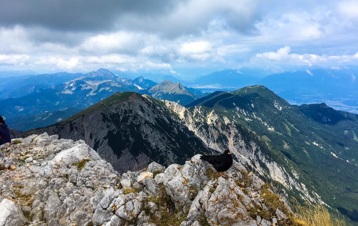 Stol | Stol je z 2236 metri najvišji vrh Karavank. Vzpon nanj vam bo vzel približno tri ure. | Foto Špela Lenart