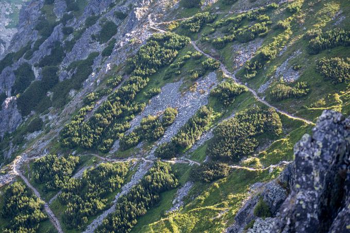 Cik-cak po pobočju na Ostrvo | Foto: Matej Podgoršek