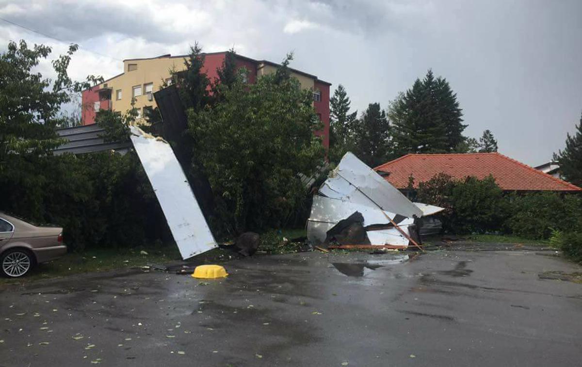 vreme, neurje, ptuj, drevesa | Foto Alen Iljevec