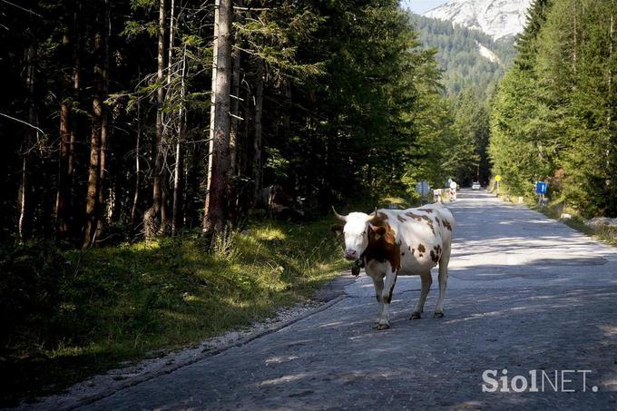 Vršič | Foto: 