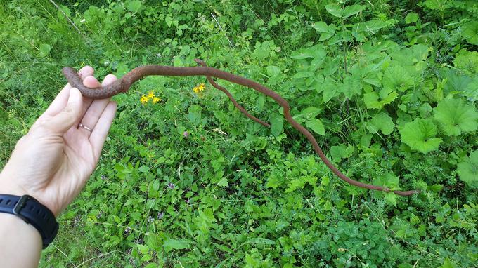 Iz zemlje in betonskih delov že vsa leta štrlijo tudi takšne jeklene žice. | Foto: Metka Prezelj