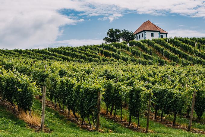 Po razburljivem dnevu, polnem doživetij, prespite v Vinogradniškem dvorcu. | Foto: 